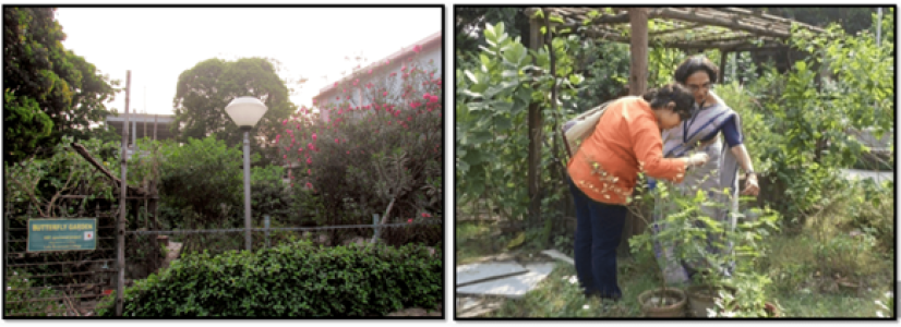 The Butterfly Garden in the Hostel Campus1