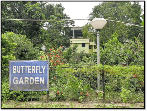 THE BUTTERFLY GARDEN WITHIN THE HOSTEL CAMPUS