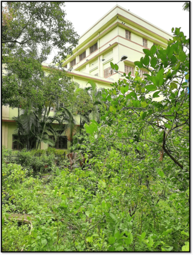 THE UG HOSTEL OVER VIEWING THE BUTTERFLY GARDEN